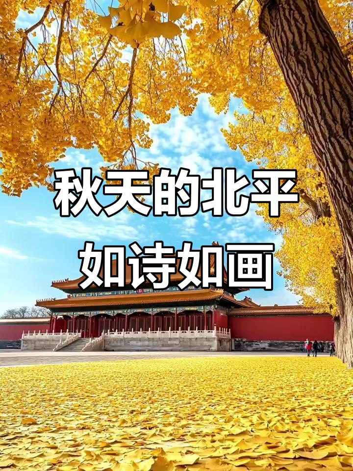［河北女诗人］《北平之秋 人间天堂》//文/冬雪