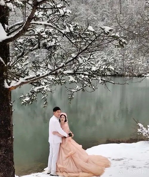［佳作欣赏］花影念雪//文/雪中行（图5）