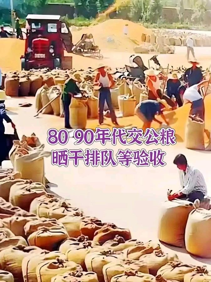 《世相观》(图45)