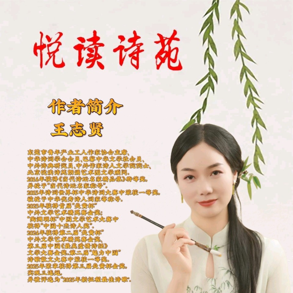 家明朗诵【金石榴夜宴（外一首）】作者王志贤（图6）