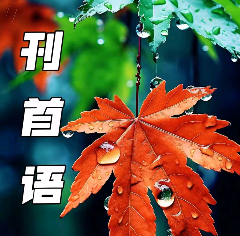 【紫罗兰文学社-北海诗社】都刊第047期既定同题 || 秋杪书简(图3)
