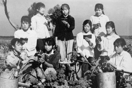 说不完的知青故事,唱不完的青春之歌/作者:张洪生(图3)
