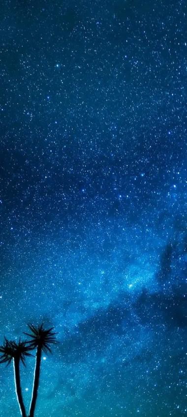 望星空-作者/晓枫晚月【欧洲总社】46期【世界诗人名人展】14192期（图7）
