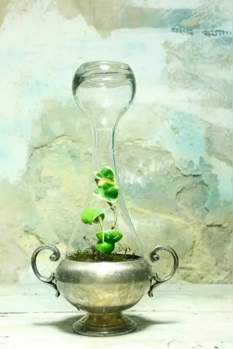 《水调歌头·漫说须弥芥子升仙梦》作者：喻忠国 [中国现代诗歌文化传媒推荐]（图5）
