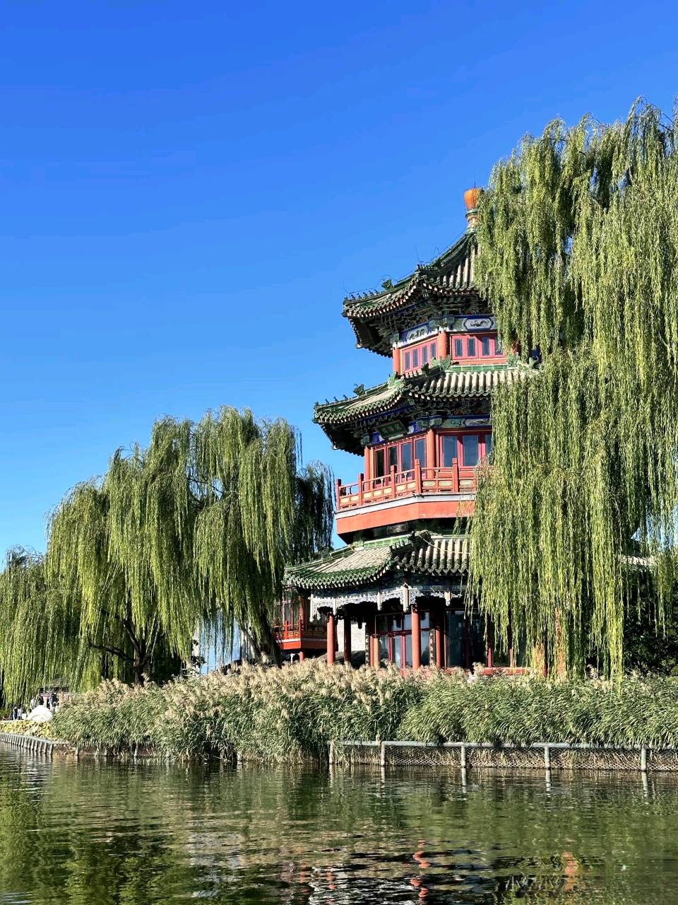 【活在这珍贵的人间…后海】作者阿莲 朗诵者未央 香悦 小苹果 莉 晨曦（图2）