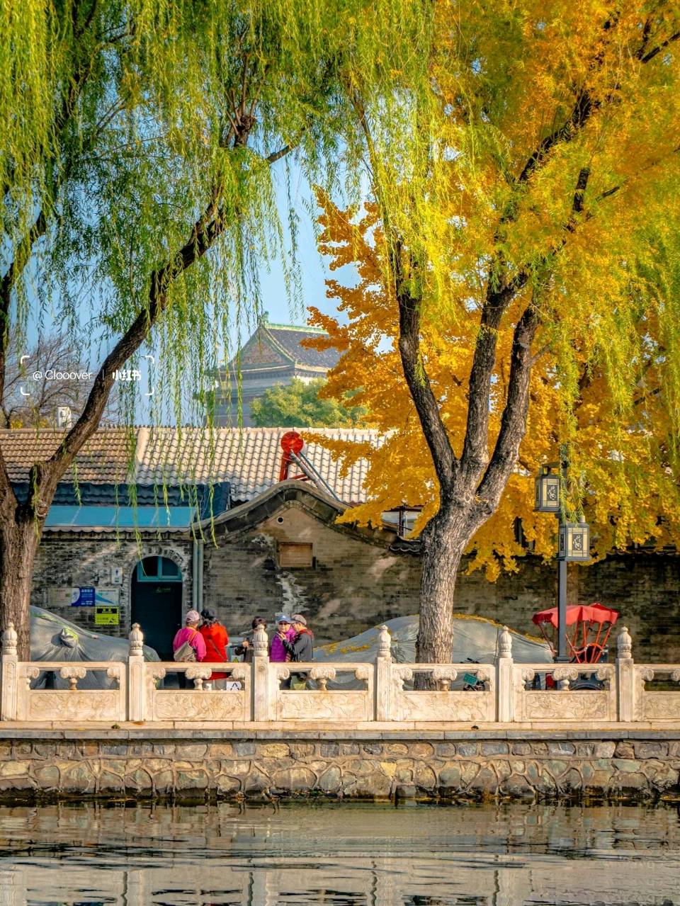 【活在这珍贵的人间…后海】作者阿莲 朗诵者未央 香悦 小苹果 莉 晨曦（图3）
