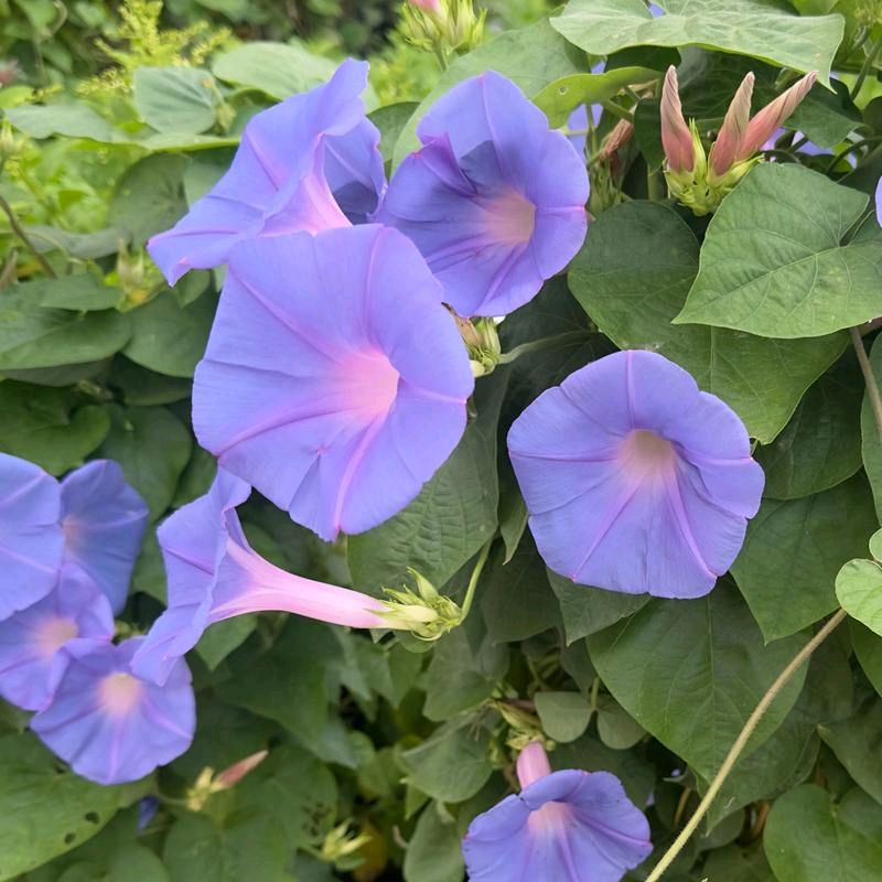 卫水洲的《烦恼天天有，不捡自然无》
