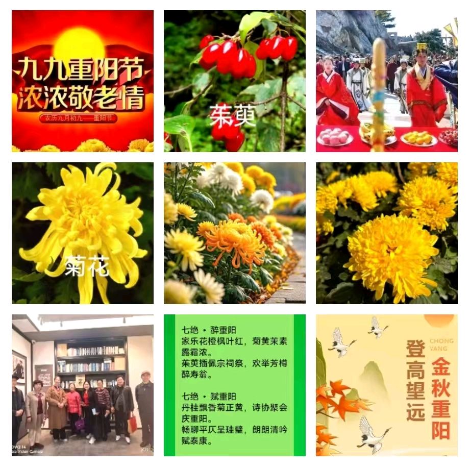 好诗品读秋雨选编『《七绝：会重阳》（新韵）专刊鉴赏』