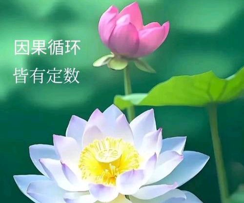 【散文】《善意的三重门》作者:强军/陕西宝鸡（图6）