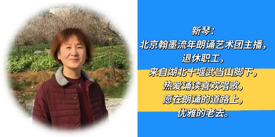 新琴