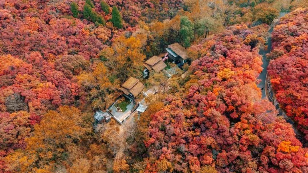 【荣耀中国】济南的红叶 文/李咸化(山东济南 )（图3）
