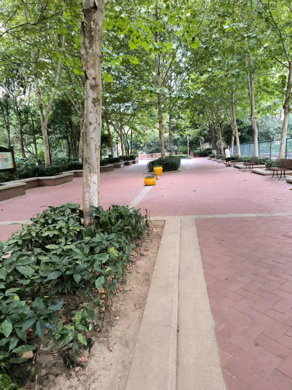 【荣耀中国】汉宫春·圆梦文/钟向严（彭元逊体）（图7）