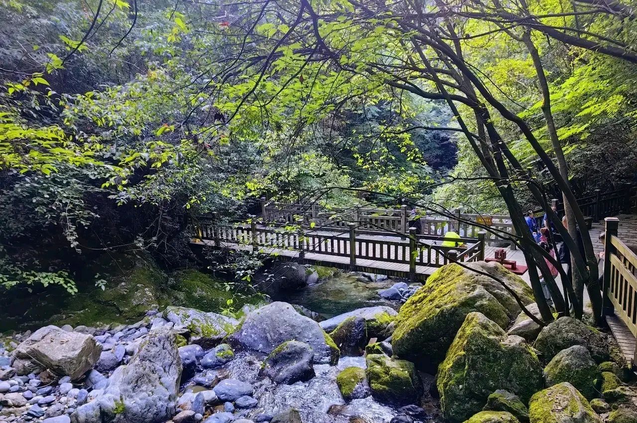 【荣耀中国】七律·那坡镇安公园作者/隆光诚（广西南宁）（图3）
