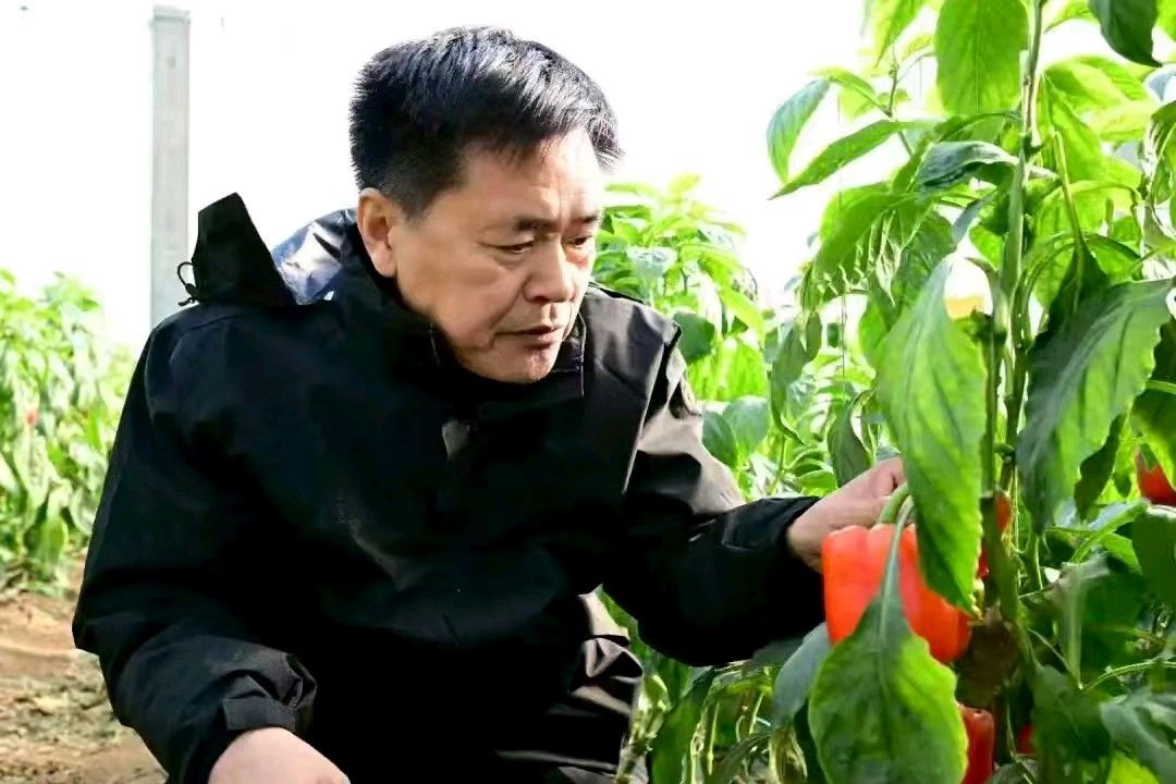 绿水青山任我游 文/志在千里‖东方《品语亭》诗社