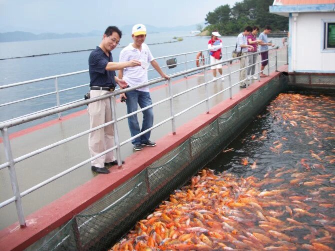 千岛湖（图10）