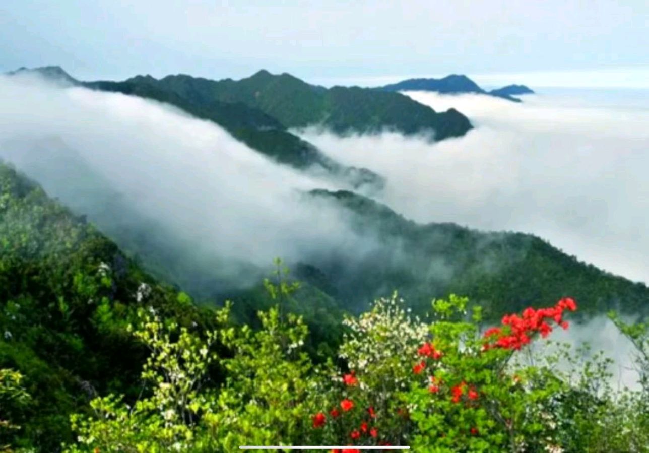 守住健康平安快乐(上平四支)(外一首)吳華龍(广东茂名)（图2）