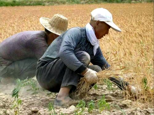 【筑梦文学社】第47期:莫吉烨《我慈祥的姥爷》（图4）