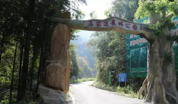 《七律·深秋游览旌德马家溪国家森林公园抒怀（两首）》作者：吕绍秋 [中国现代诗歌文化传媒推荐]（图5）