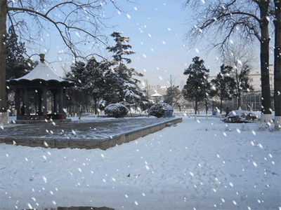 【豆蔻诗社】文学社*咏 雪 作者/ 孙月和（图4）