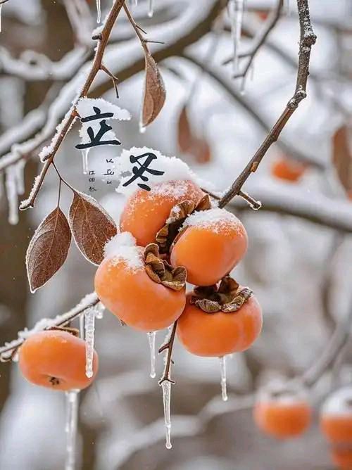 仿旧体诗合刊｜《七律·立冬》