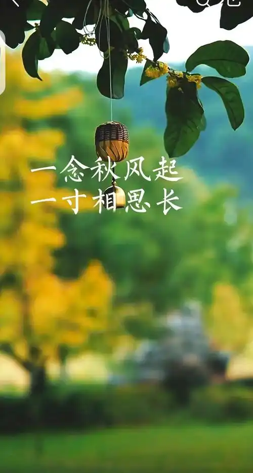 七律-秋思～诗◑马文智（图14）