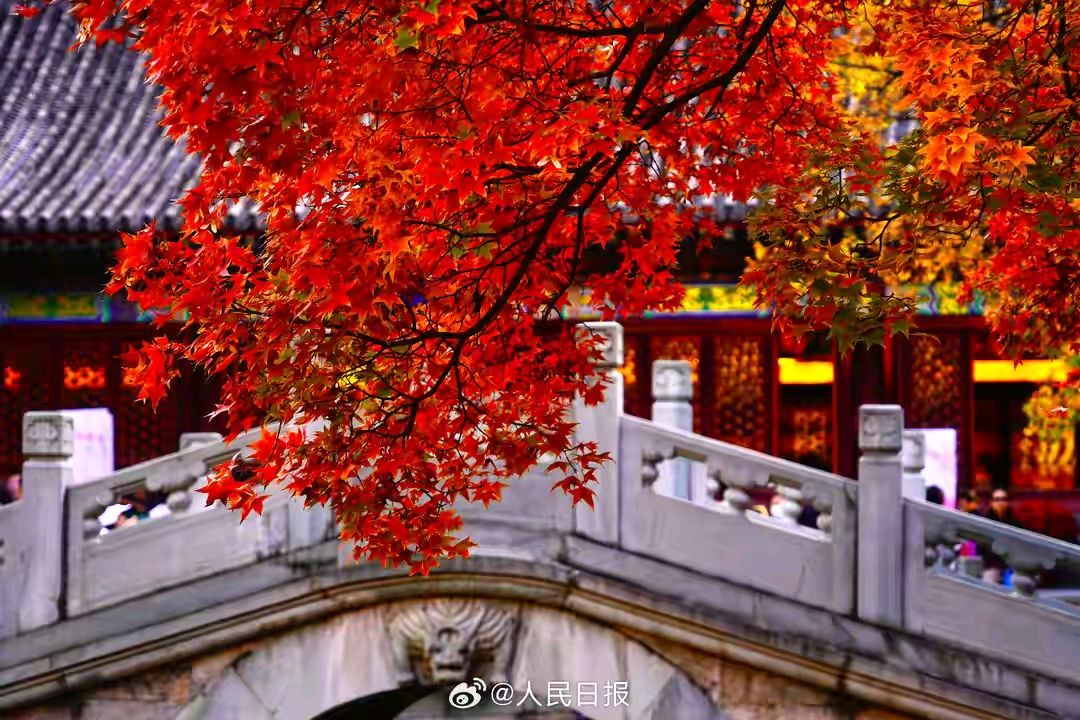 【都市文坛撷英】北大山经典诗词专辑 三十一（图7）
