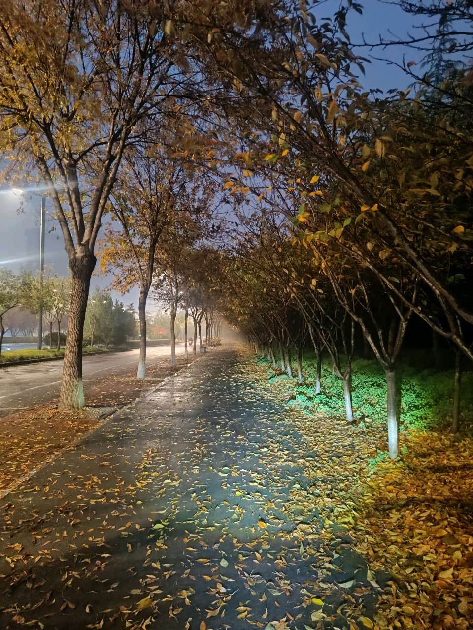 风雨立冬乐道行 原作/梁立锋（图3）