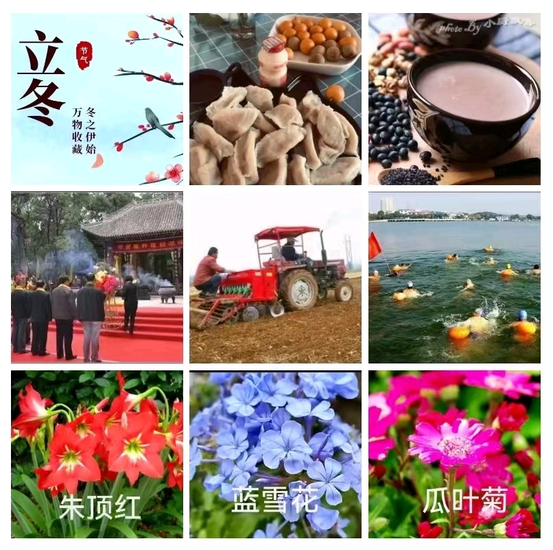 秋雨选编『《格律诗词•咏立冬八首》（新韵）专刊鉴赏』