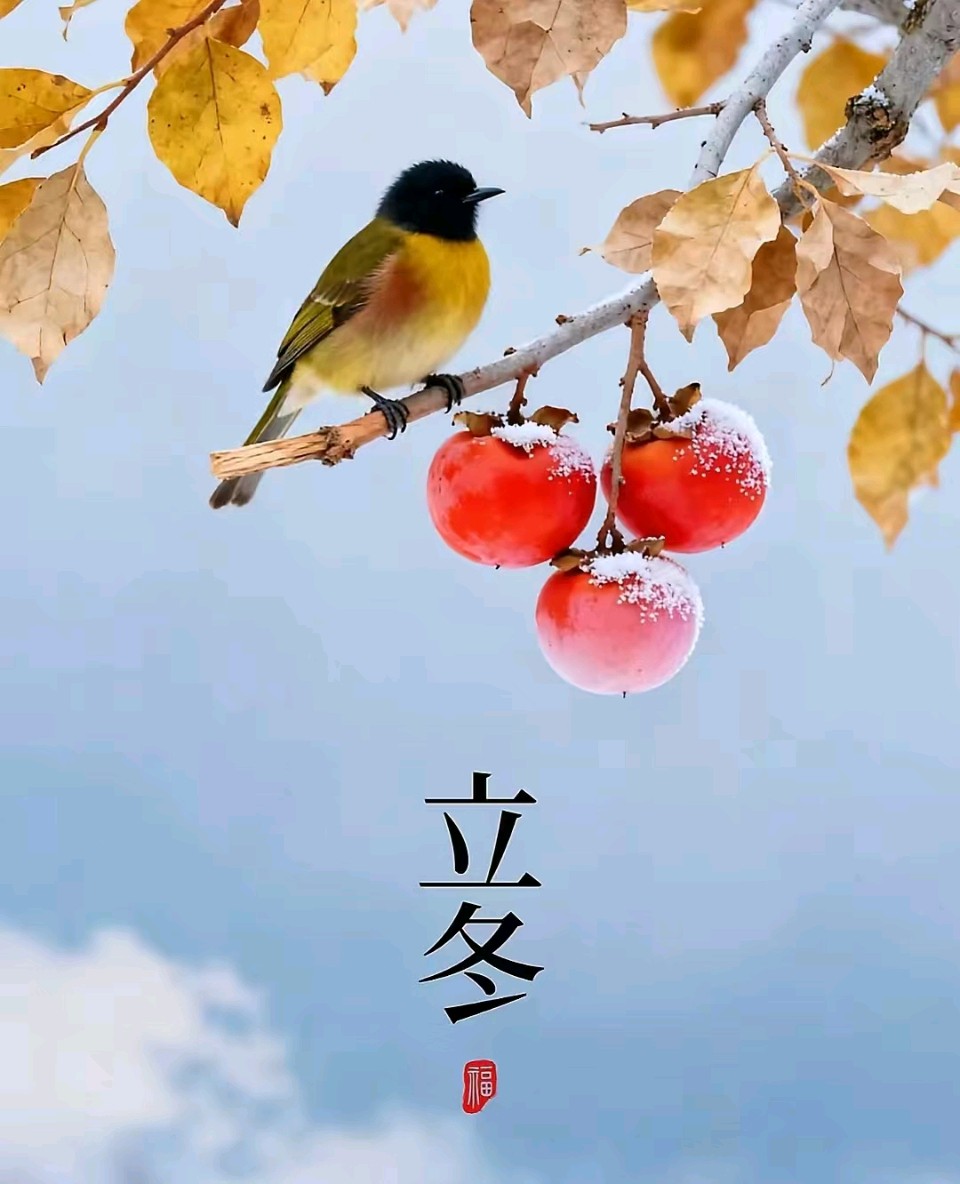 【墨香群英苑】鹧鸪天*青蛙的悲哀（新韵）作者/王楼（内蒙古）（图6）