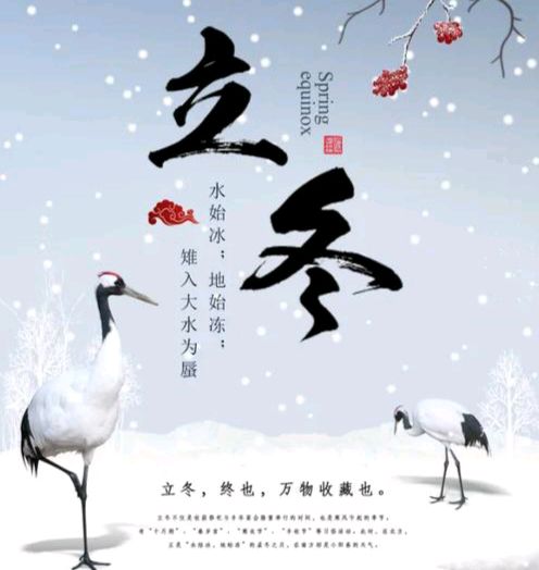 【散文】《立冬: 万物藏息,人间安暖》作者:强军/陕西宝鸡(图11)