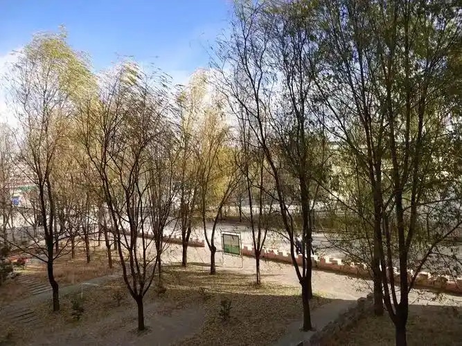 【新诗大观】转角遇见立冬||文/宁儿（图4）