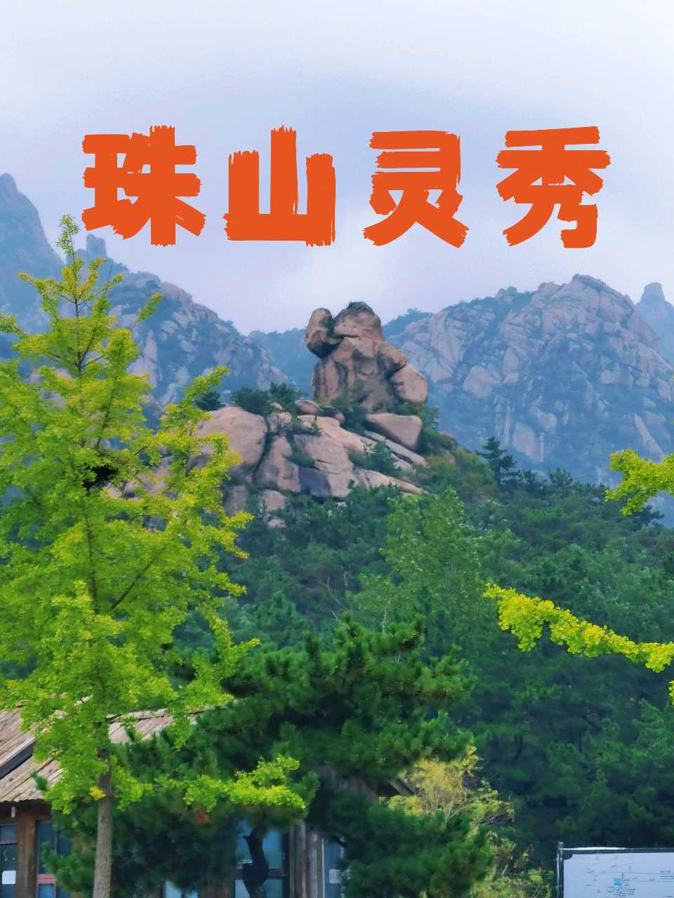 【新山东文学社】《凤舞珠山吟中秋》作者/木青 主播/鲁怡秀凤（图10）