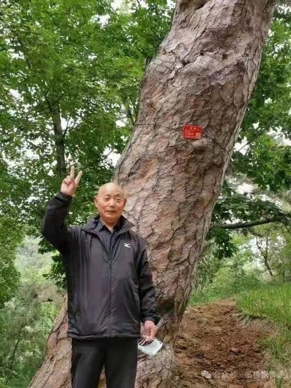 ［唐山作家］一株阳坡上的枫——给演员于和伟//文/北山虎（图4）