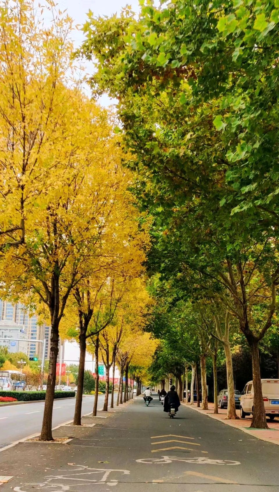 初冬深秋景一北京头条（图2）
