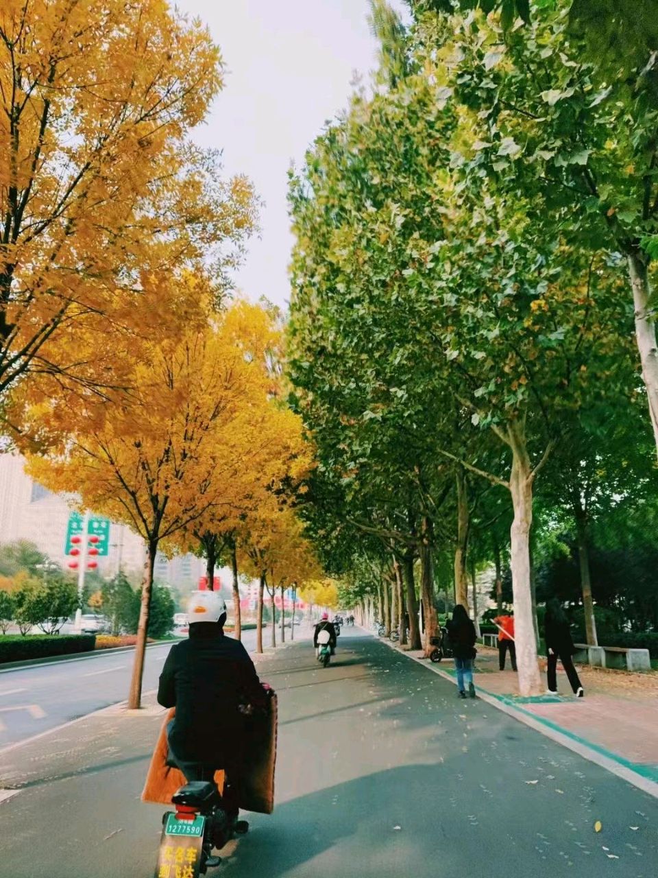 初冬深秋景一北京头条（图3）