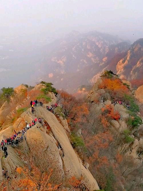 【神州源流诗苑】第1430期优秀近体诗周刊(图13)