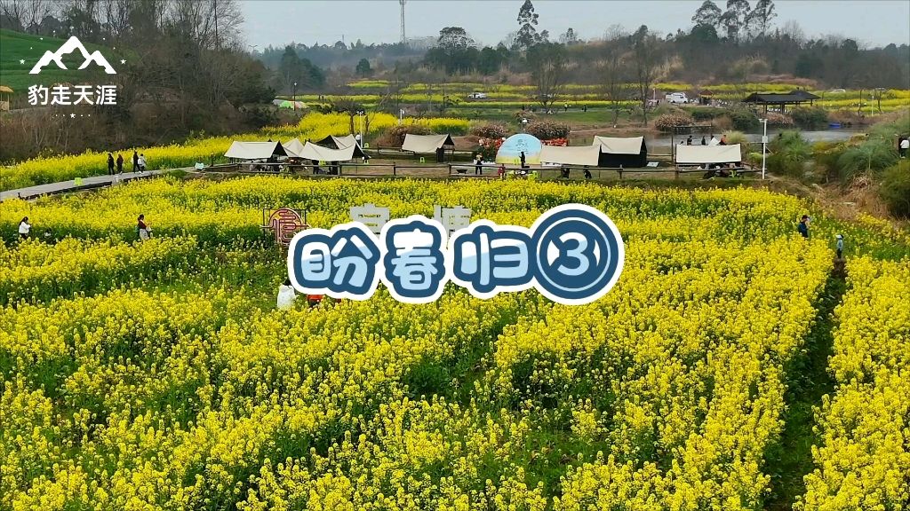 【冬韵抒怀】潘魁//七绝•妪翁忧寒[二首]（图5）