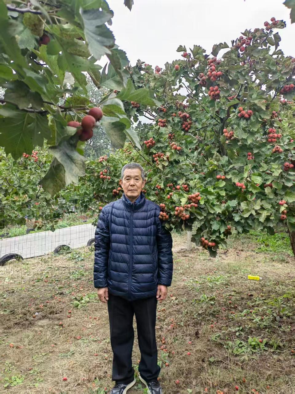 【茌平文苑五周年庆】山东岳传清‖《茌平文苑》我的家——写在《茌平文苑》创刊五周年之际(图2)