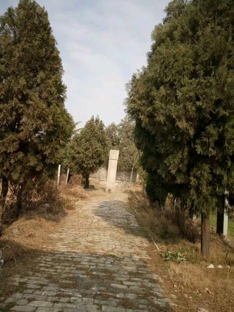 王青霞诗词欣赏（图2）
