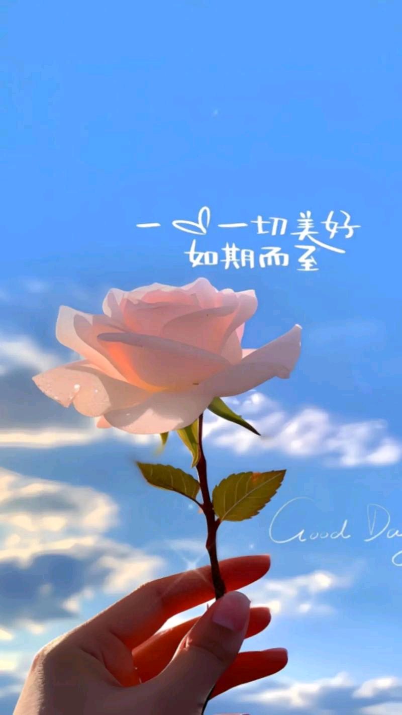 【致光临我朋友圈的师友(二首）】 张泉河（图2）