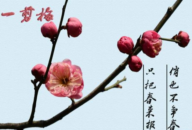 《当代诗人海风创作当代古诗词牌二首》作者：海风 [中国现代诗歌文化传媒推荐]（图5）