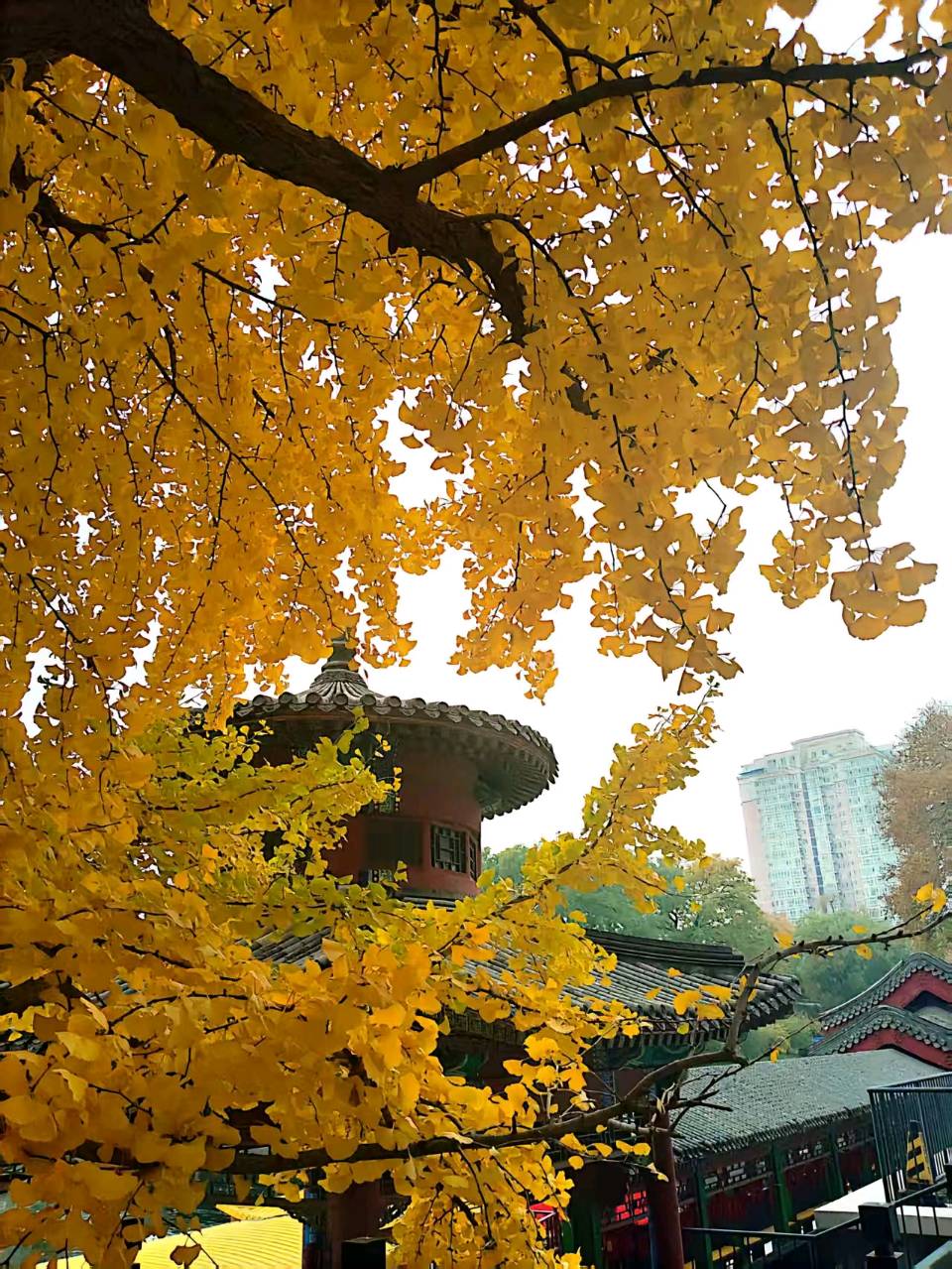 《姓名题诗，看图即兴诗赏析》作者：何全兴 [中国现代诗歌文化传媒推荐]（图6）