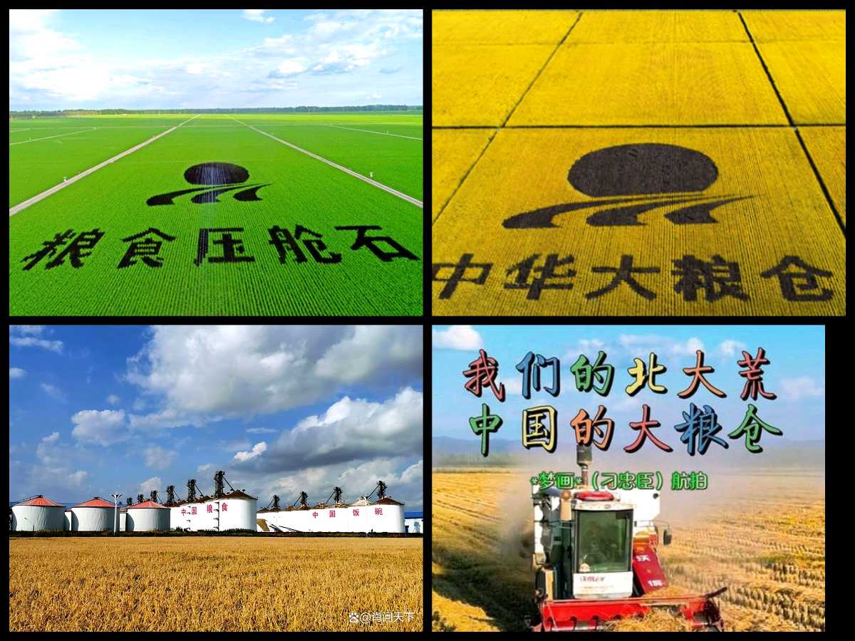 【重磅推出】农情黑土//七律•金秋忆垦边•三程岁月吟[新韵]十五首（图27）