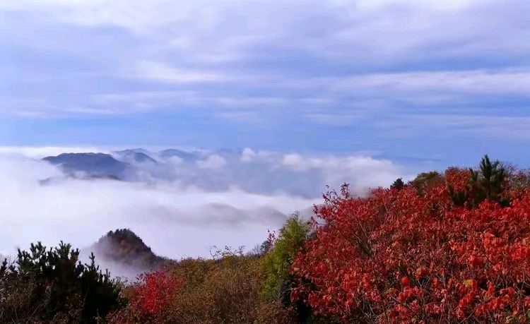 【荣耀中国】七律·蛰伏作者/李德政（图4）