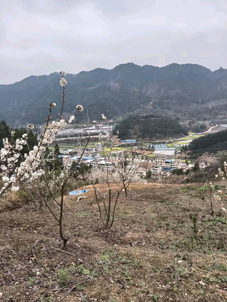 《刘文波著名当代诗人创作当代古诗词七律，三首》作者：刘文波 [中国现代诗歌文化传媒推荐]（图7）