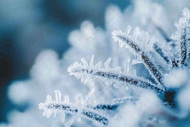 自由体《雪笺温语》外一首/文/郑金波