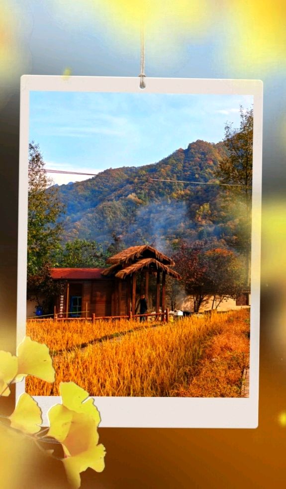 【作家专栏】烛愿 诗歌《托付》（图4）