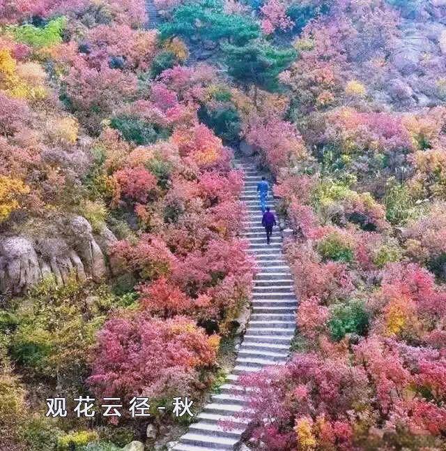 【新山东文学社】《秋色斑斓别样情(十首)》作者/江淮闲客 主播/天空(图6)