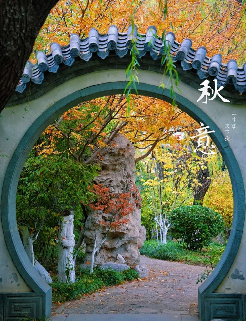 【新山东文学社】《越溪春.秋暮初冬小吟(外一首)》作者/王建群 主播/含笑原野(图3)