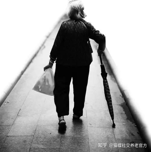 【思归客诗词学会】（名家风采）慢慢——我无（外一首）//文/贤子（图5）